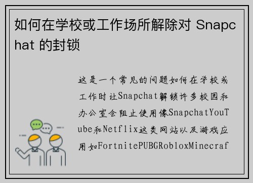 如何在学校或工作场所解除对 Snapchat 的封锁 