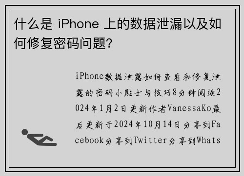 什么是 iPhone 上的数据泄漏以及如何修复密码问题？